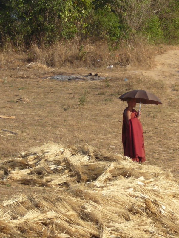 Travel - Myanmar - Kalaw Shan - From Kalaw to the Village